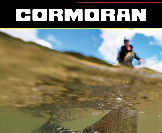 Katalog i nowości Cormoran 2019